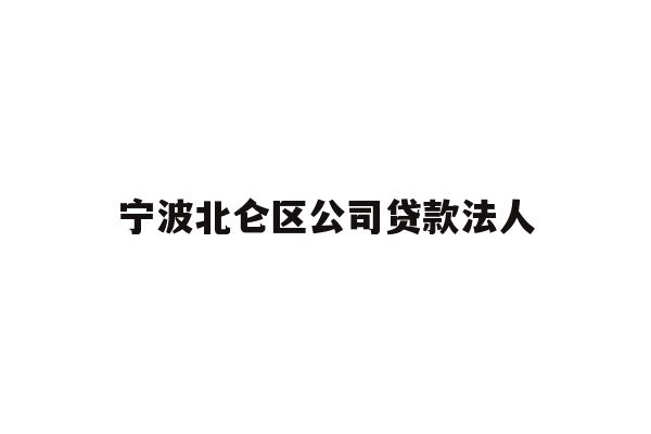 宁波北仑区公司贷款法人