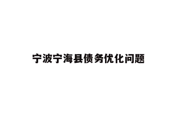 宁波宁海县债务优化问题