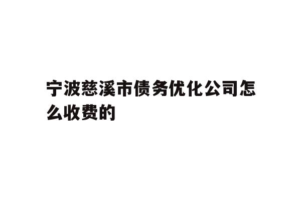 宁波慈溪市债务优化公司怎么收费的