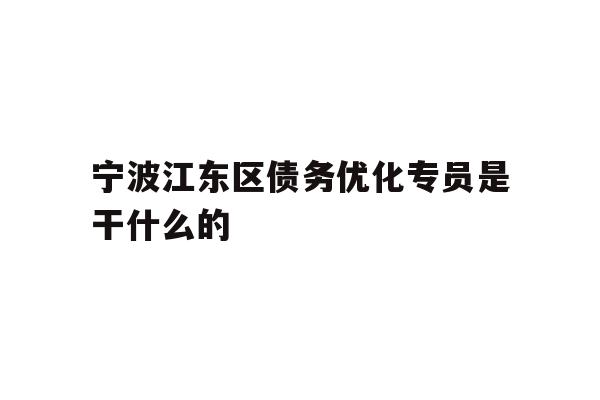 宁波江东区债务优化专员是干什么的