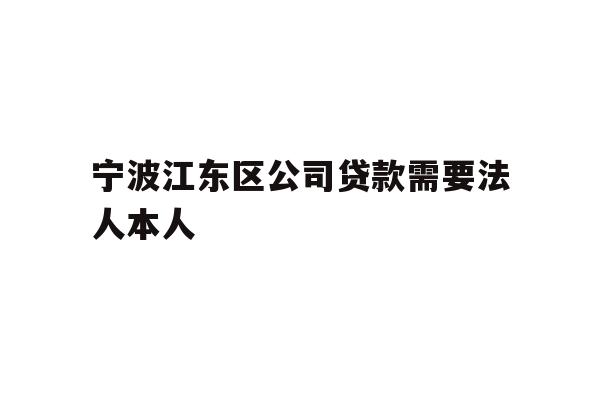 宁波江东区公司贷款需要法人本人