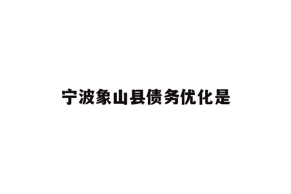 宁波象山县债务优化是