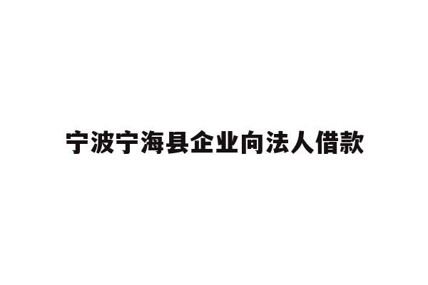 宁波宁海县企业向法人借款
