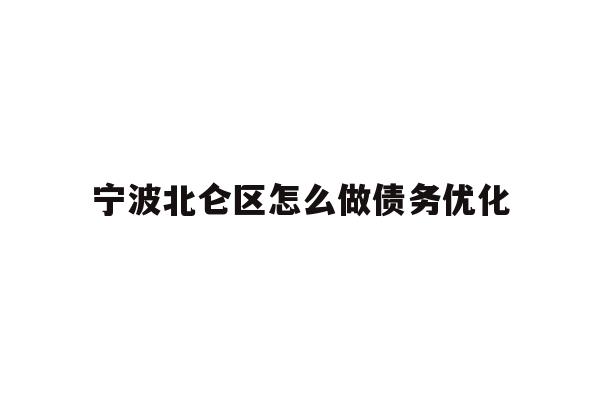 宁波北仑区怎么做债务优化
