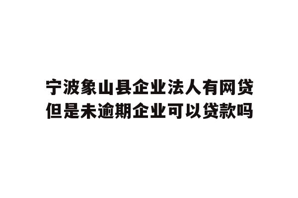 宁波象山县企业法人有网贷但是未逾期企业可以贷款吗
