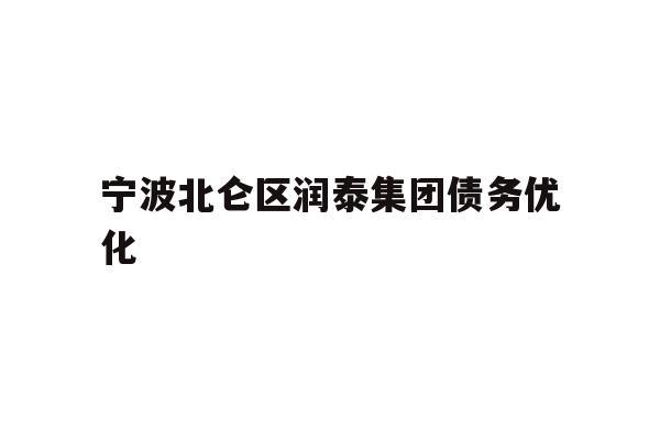 宁波北仑区润泰集团债务优化