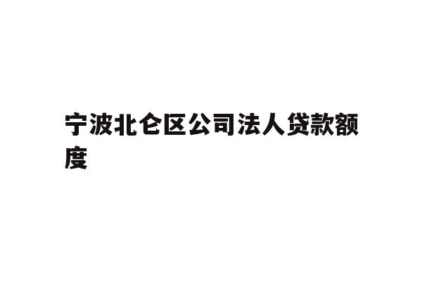 宁波北仑区公司法人贷款额度