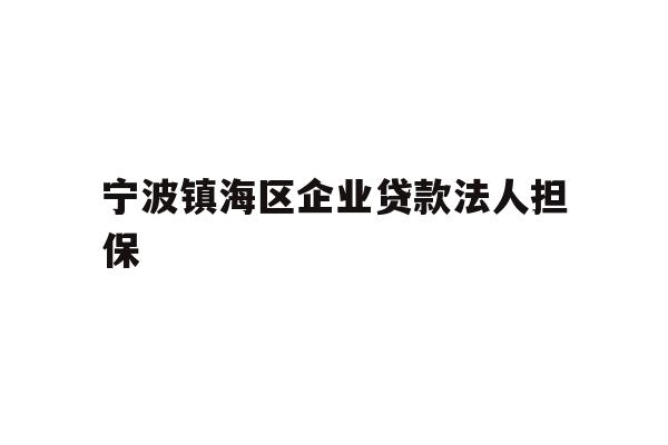 宁波镇海区企业贷款法人担保