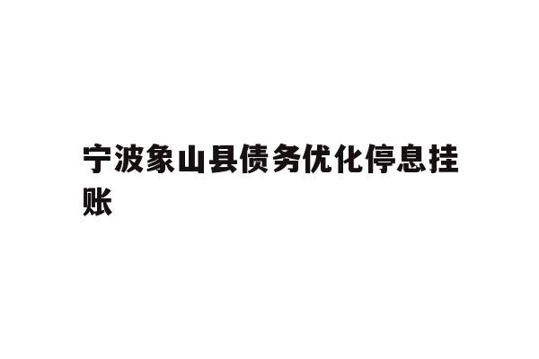 宁波象山县债务优化停息挂账