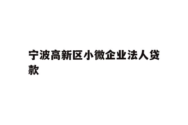 宁波高新区小微企业法人贷款