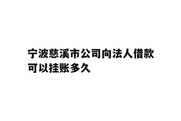 宁波慈溪市公司向法人借款可以挂账多久