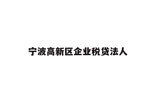 宁波高新区企业税贷法人