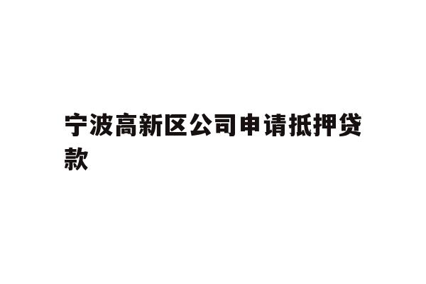 宁波高新区公司申请抵押贷款