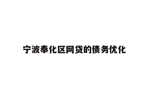 宁波奉化区网贷的债务优化