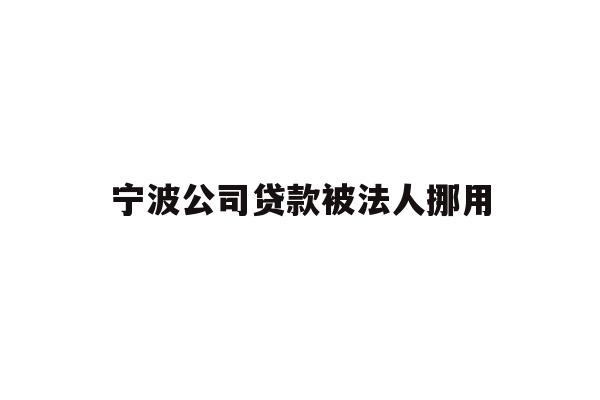 宁波公司贷款被法人挪用