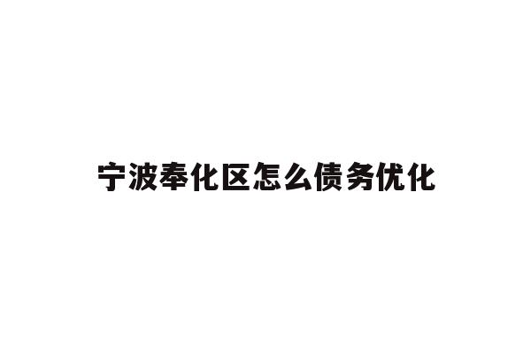 宁波奉化区怎么债务优化