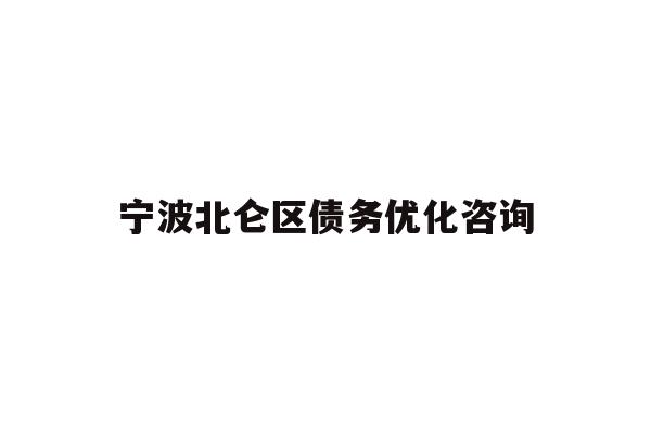 宁波北仑区债务优化咨询