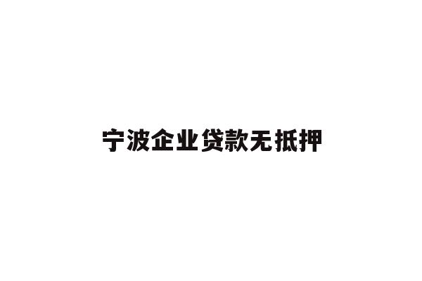 宁波企业贷款无抵押