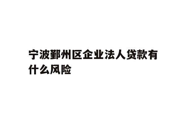 宁波鄞州区企业法人贷款有什么风险