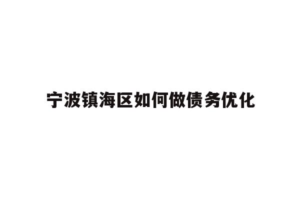 宁波镇海区如何做债务优化