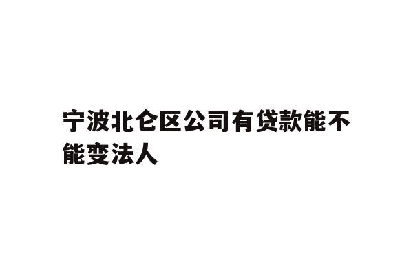 宁波北仑区公司有贷款能不能变法人