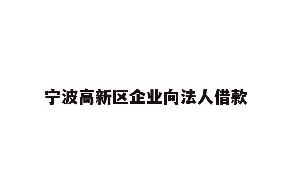 宁波高新区企业向法人借款