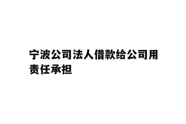 详细阅读:宁波公司法人借款给公司用责任承担 宁波公司法人借款给公司用责任承担