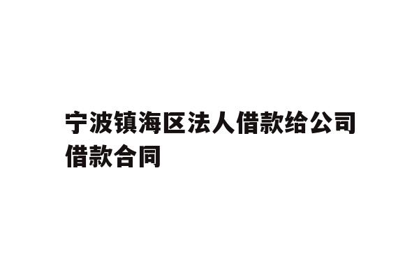 宁波镇海区法人借款给公司借款合同