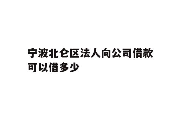 详细阅读:宁波北仑区法人向公司借款可以借多少 宁波北仑区法人向公司借款可以借多少
