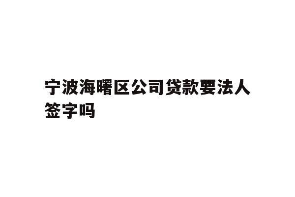 详细阅读:宁波海曙区公司贷款要法人签字吗 宁波海曙区公司贷款要法人签字吗