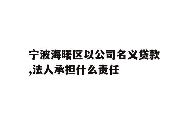 宁波海曙区以公司名义贷款,法人承担什么责任