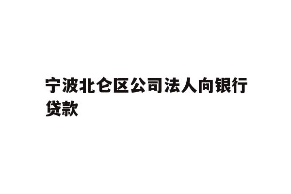 宁波北仑区公司法人向银行贷款