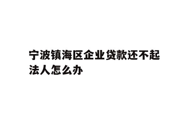 宁波镇海区企业贷款还不起法人怎么办
