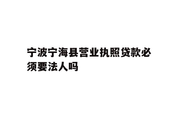 宁波宁海县营业执照贷款必须要法人吗