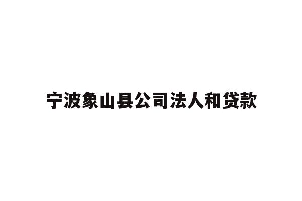 宁波象山县公司法人和贷款