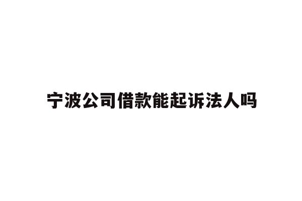 宁波公司借款能起诉法人吗