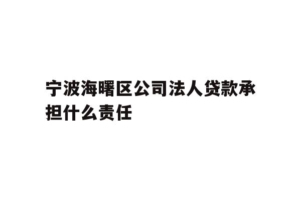 宁波海曙区公司法人贷款承担什么责任