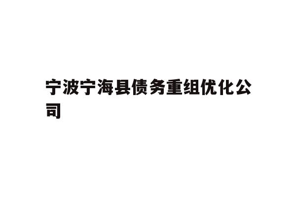 宁波宁海县债务重组优化公司