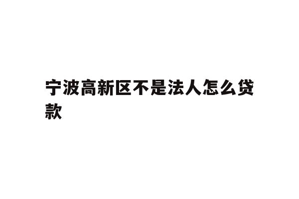 详细阅读:宁波高新区不是法人怎么贷款 宁波高新区不是法人怎么贷款