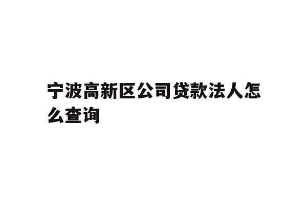 详细阅读:宁波高新区公司贷款法人怎么查询 宁波高新区公司贷款法人怎么查询
