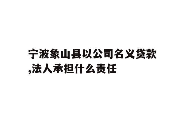 宁波象山县以公司名义贷款,法人承担什么责任