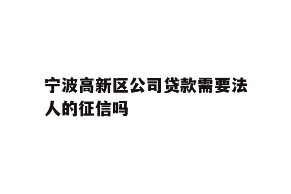 宁波高新区公司贷款需要法人的征信吗
