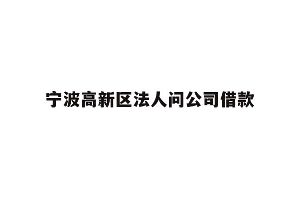 详细阅读:宁波高新区法人问公司借款 宁波高新区法人问公司借款