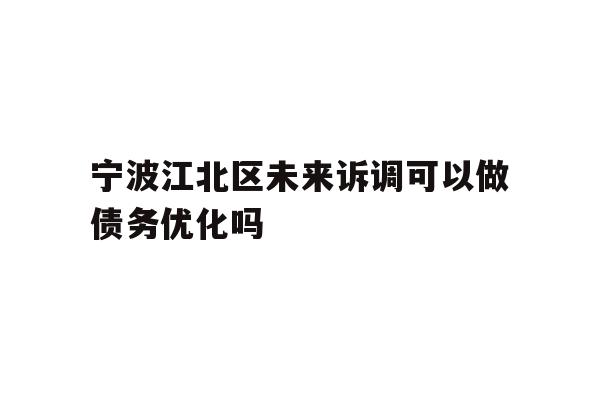宁波江北区未来诉调可以做债务优化吗