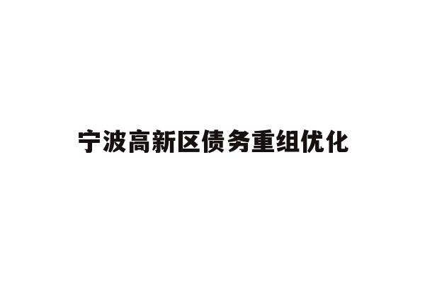 宁波高新区债务重组优化