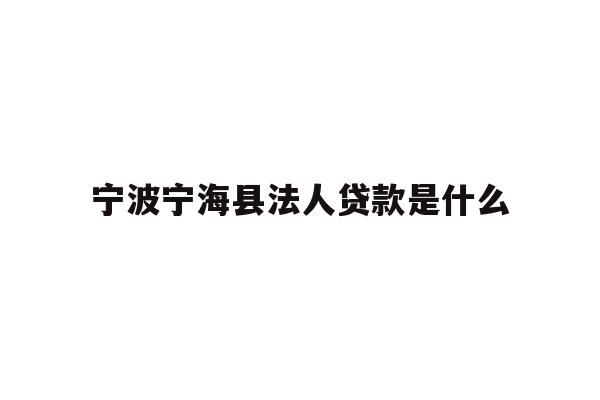 宁波宁海县法人贷款是什么