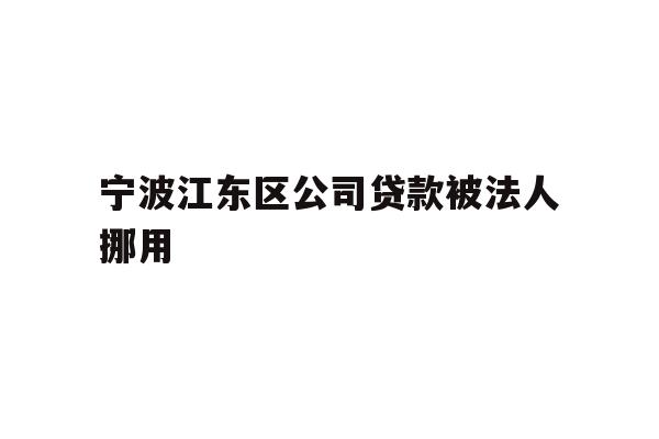 宁波江东区公司贷款被法人挪用