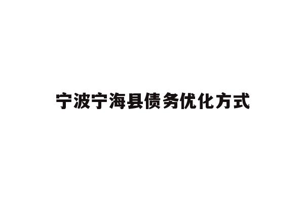 宁波宁海县债务优化方式