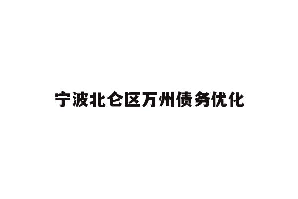 宁波北仑区万州债务优化