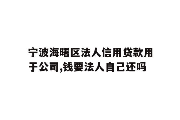 宁波海曙区法人信用贷款用于公司,钱要法人自己还吗